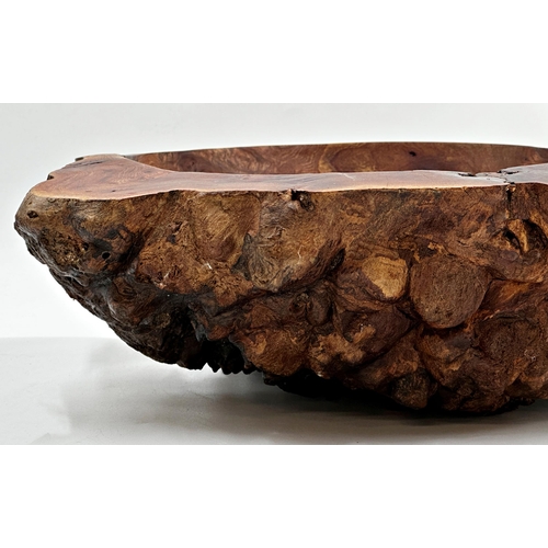 565 - Good hollowed olive wood fruit bowl with naturalistic exterior, 38cm wide