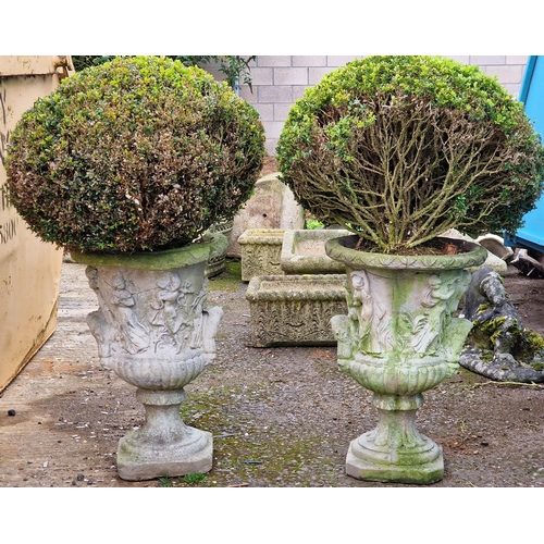 1054 - Pair of reconstituted stone garden urns with relief moulding, planted, 100cm high including plant, (... 