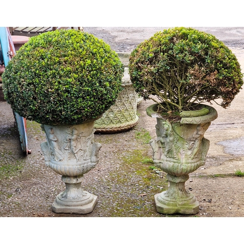 1054 - Pair of reconstituted stone garden urns with relief moulding, planted, 100cm high including plant, (... 