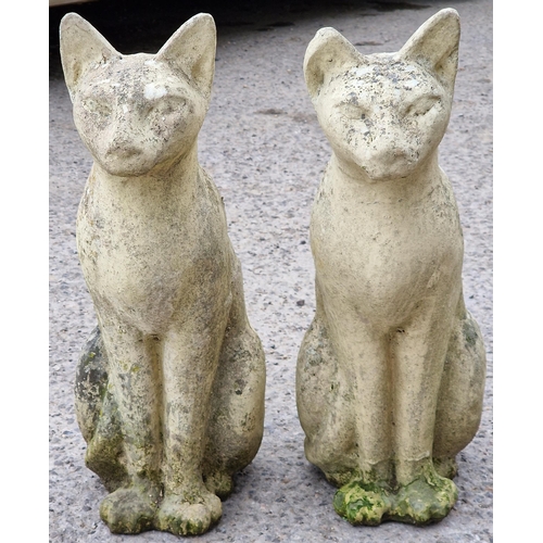 1065 - Pair of reconstituted stone garden ornaments in the form of Siamese cats, 55cm high