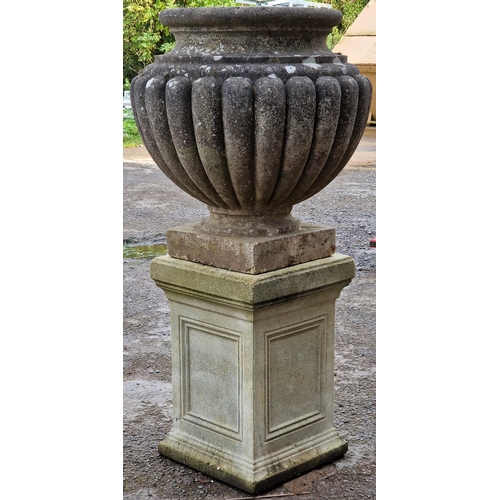 1071 - Weathered stone garden urn with gadrooned detail raised on a square pedestal base, 105cm high