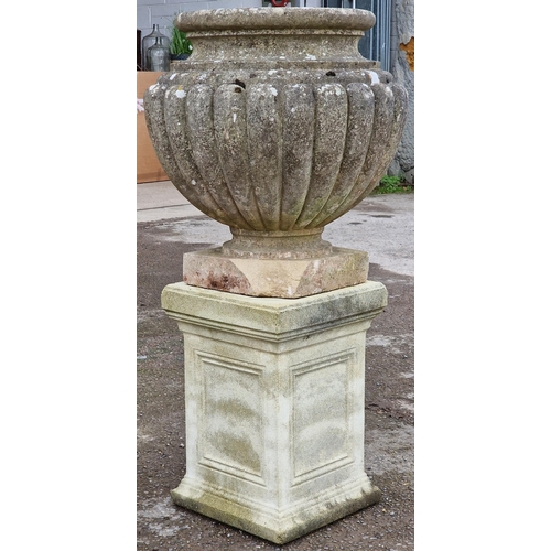 1071 - Weathered stone garden urn with gadrooned detail raised on a square pedestal base, 105cm high