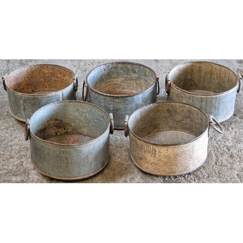 1108 - A collection of five galvanised jardinières, 16cm high x 32cm diameter (5)