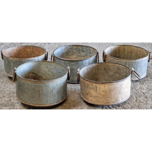 1108 - A collection of five galvanised jardinières, 16cm high x 32cm diameter (5)