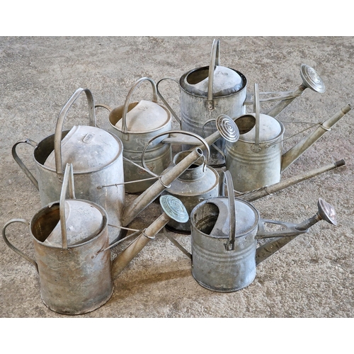 1109 - Collection of seven vintage galvanised watering cans (7)