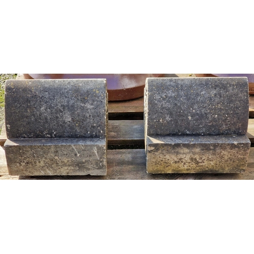 1119 - Pair of weathered marble pier caps with foliate detail, 23cm high x 28cm wide x 28cm deep (2)