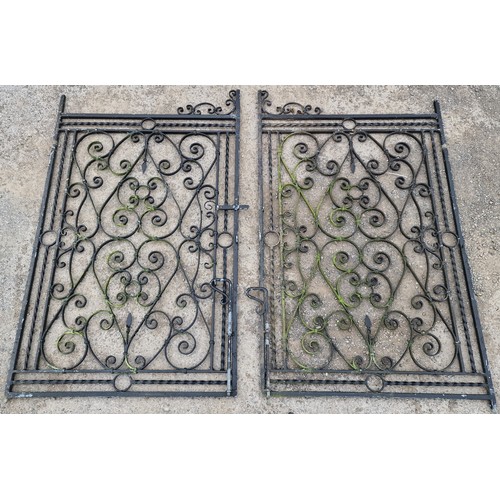 1100 - A good quality pair of iron entrance gates with decorative pierced scrollwork detail and black paint... 