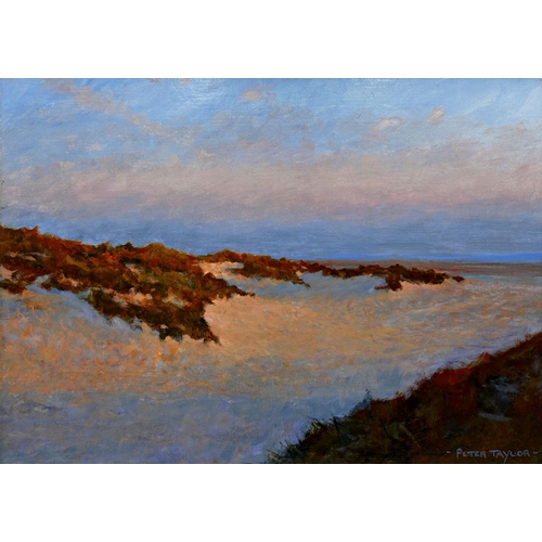 1294 - Peter Taylor (20th/21st century) - 'Last light on the dunes', signed, oil on board, 33 x 49cm, frame... 