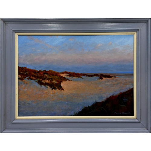 1294 - Peter Taylor (20th/21st century) - 'Last light on the dunes', signed, oil on board, 33 x 49cm, frame... 