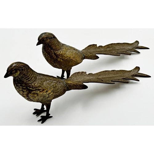 625 - Pair of brass pheasants, 32cm long