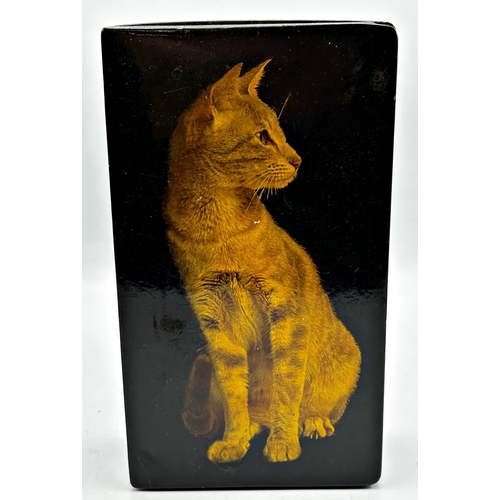 256 - Early 20th century lacquered box, the hinged lid decorated with a seated cat, button clasp, 26cm lon... 