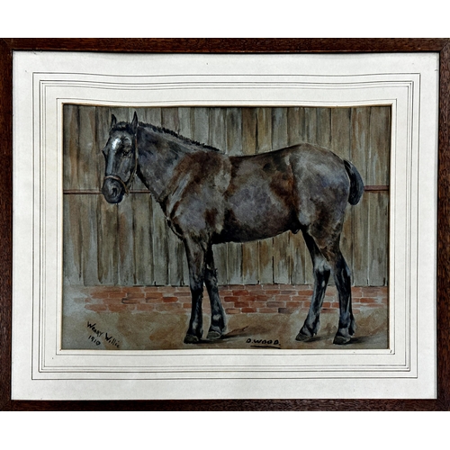 2464 - D* Wood (early 20th century) - 'Weary Willie', portrait of a standing horse, signed, titled and date... 