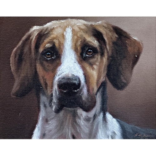 2479 - John Silver (b. 1959) - Bust portrait of a foxhound, signed and dated'19, 20.5 x 25.5cm, framed