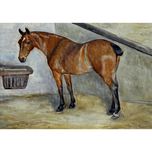 2487 - George Paice (1854-1925) - 'Victor', horse in stable, signed and dated '09, watercolour, 35 x 49cm, ... 