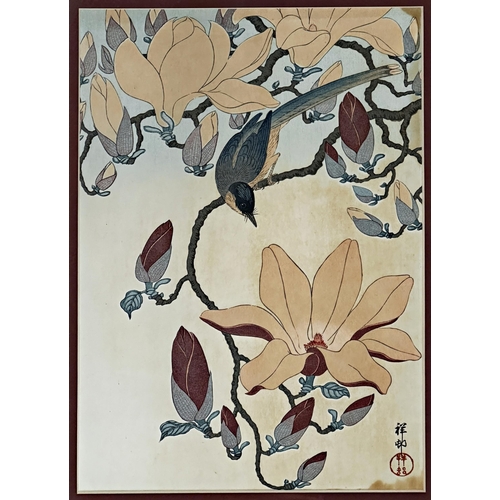 2498 - Japanese school - bird in blossom, signed, watercolour, 35 x 23cm, framed