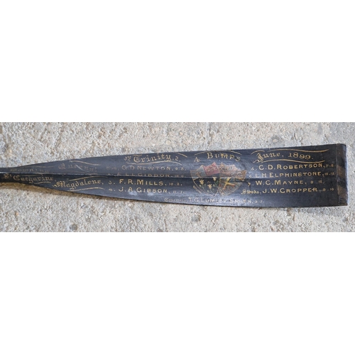 2456 - Late Victorian Cambridge college rowing oar with hand painted paddle, with Trinity 4 Bumps inscripti... 