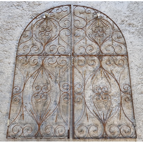 1014 - Pair of arched wrought iron gates with pierced scrollwork detail, H 185cm x W 148cm