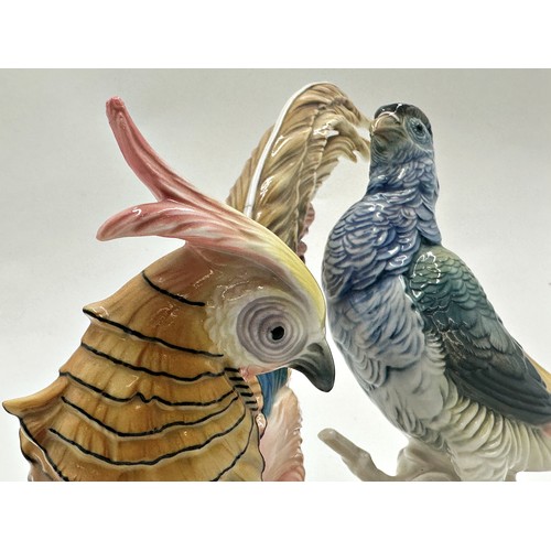 2194 - Karl Ens porcelain character group of Golden Pheasants, 22cn high