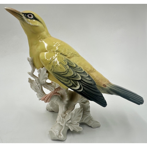 2198 - Karl Ens porcelain Indian Golden Oriole, 19cm high