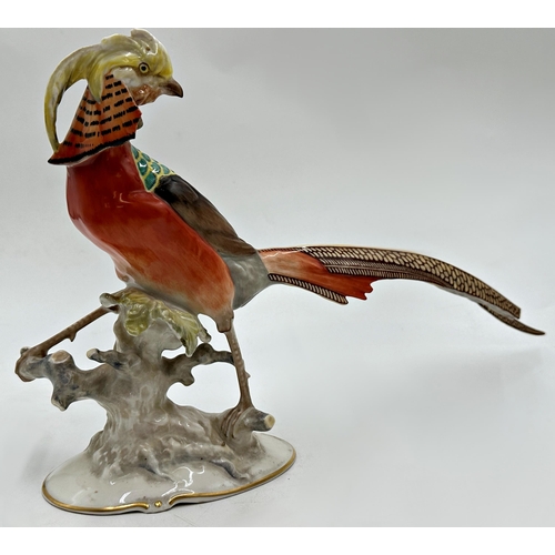 2201 - Karl Tutter for Hutschenreuther porcelain Golden Pheasant with Karl Ens porcelain Lady Amherst Pheas... 