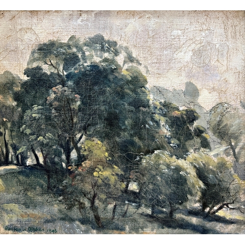 1163 - Benjamin Westwood Gibbon (1914-1989) -'Trees In Ettington Park, Worcestershire', signed, oil on canv... 