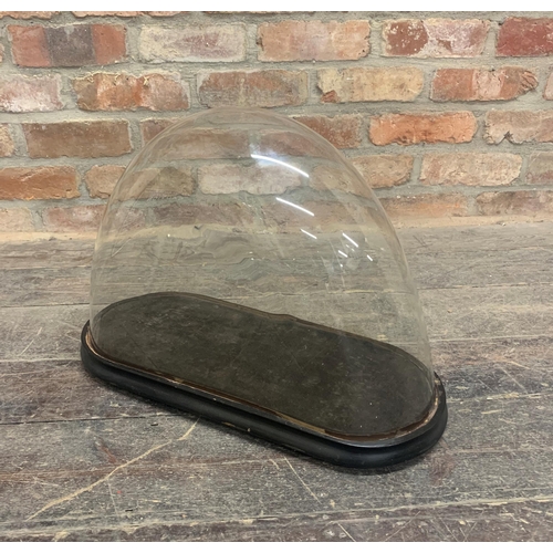 2348 - Antique Wooden Based Glass Display Dome. W 54cm x 34cm.