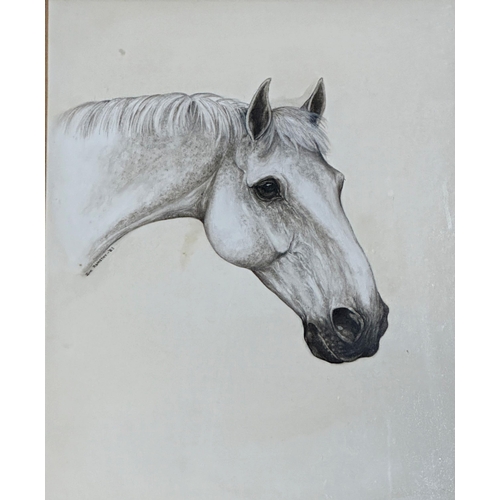 1387 - Jane Ramstey (20th century) - 'Mooncoin', bust portrait of a dapple grey horse, signed and dated '83... 