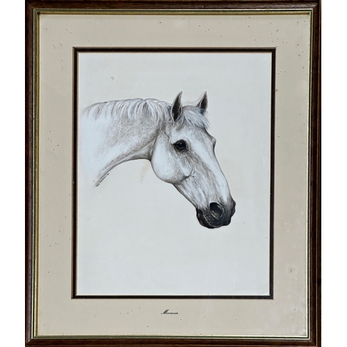 1387 - Jane Ramstey (20th century) - 'Mooncoin', bust portrait of a dapple grey horse, signed and dated '83... 