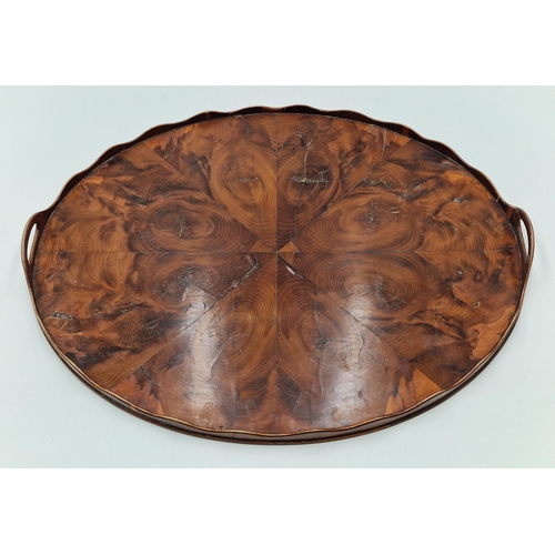 2301 - Good quality 19th century oyster veneered laburnum wood oval butlers tray with shaped gallery and tw... 