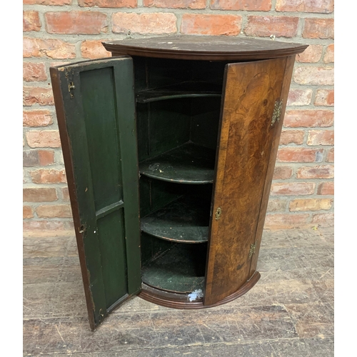 1344 - Late 18th/early 19th century burr walnut bow front corner cupboard, H 92cm x W 58cm x D 40cm