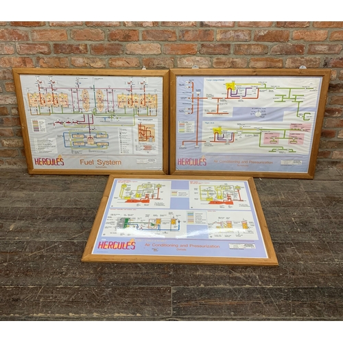 265 - Three Hercules aeroplane engineering guides, two printed on paper the other on plastic, 72 x 99cm, f... 