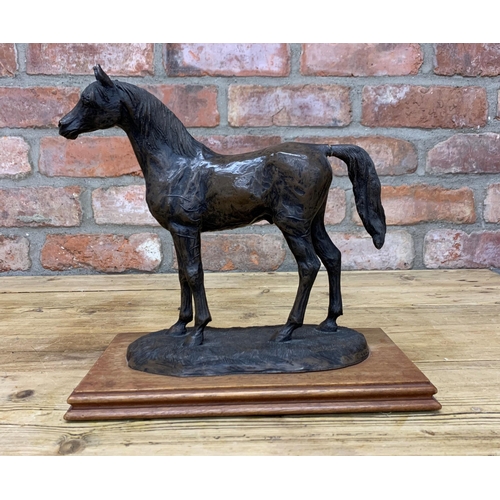 2447 - Susan Maclaurin 'The Arab' resin horse sculpture, mounted atop wooden base, H 28cm x W 30cm