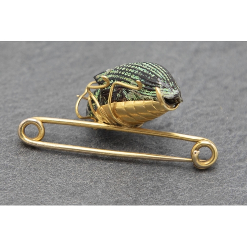 95 - 18ct petrified Scarab Beetle brooch, 4.5cm long, 4g