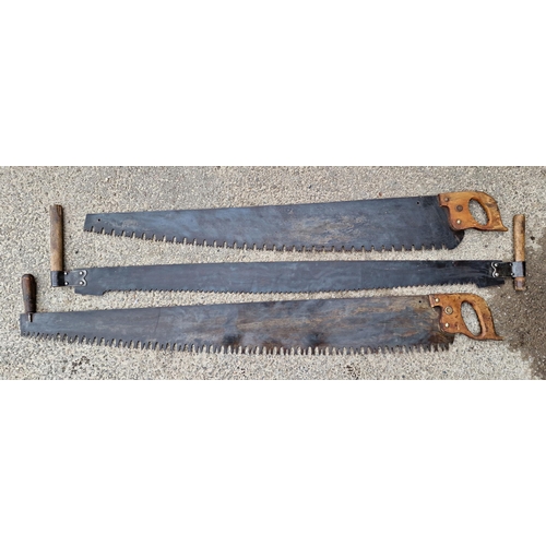 2460 - Two large Victorian twin handled saws, together with further large Victorian example, largest L 152c... 