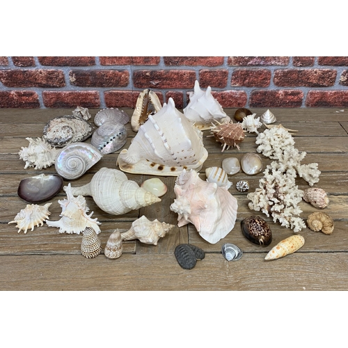 2285 - Collection of good sea shells, to include large, spikey and pearl examples (three boxes)