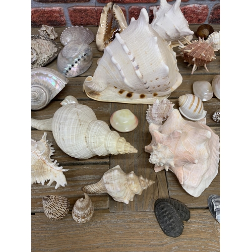 2285 - Collection of good sea shells, to include large, spikey and pearl examples (three boxes)