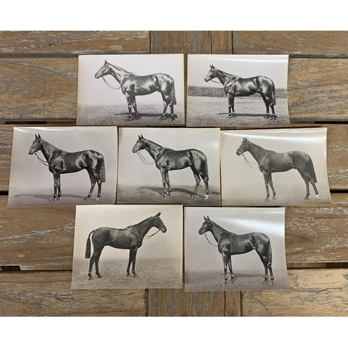 349 - Collection of original 1940's racing horse photographs by W.W Rouch & Co, each being named and havin... 