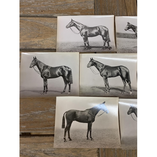 349 - Collection of original 1940's racing horse photographs by W.W Rouch & Co, each being named and havin... 