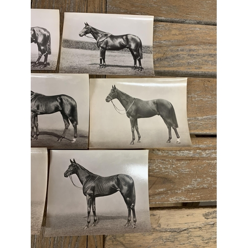 349 - Collection of original 1940's racing horse photographs by W.W Rouch & Co, each being named and havin... 