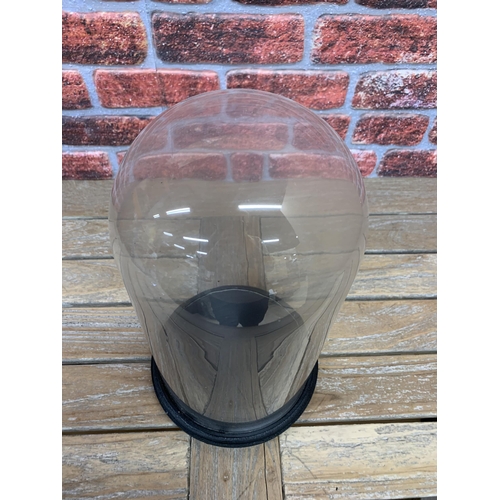 465 - Large glass taxidermy display dome with wooden base, 40cm x 22cm