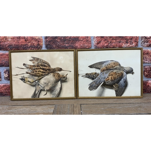 358 - Pair of framed game bird engravings, 34cm x 26cm