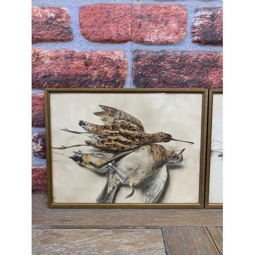 358 - Pair of framed game bird engravings, 34cm x 26cm