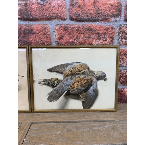 358 - Pair of framed game bird engravings, 34cm x 26cm