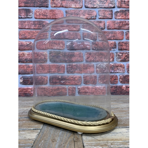 459 - Vintage oval glass taxidermy dome with wooden base and rope surround, 34cm x 32cm x 16cm