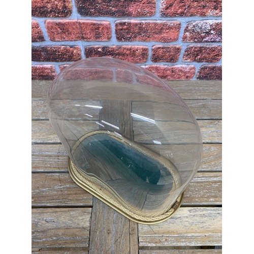 459 - Vintage oval glass taxidermy dome with wooden base and rope surround, 34cm x 32cm x 16cm