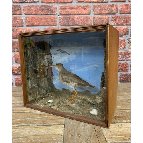 460 - Taxidermy - Common Redshank in glazed case set amongst naturalistic coastal scene, Tringa totanus, 3... 