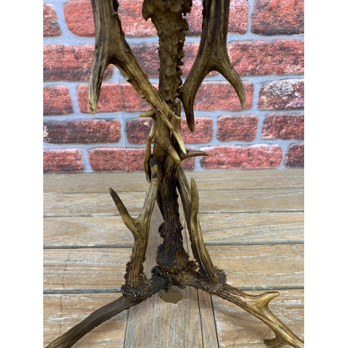 353 - Impressive Roe Deer antler four branch candelabra, H 71cm x W 41cm x D 41cm