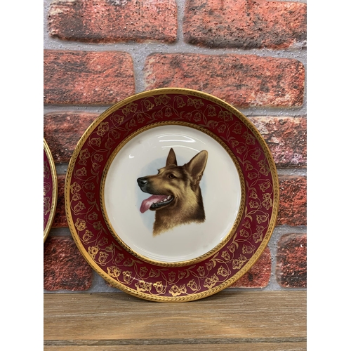 329 - Two Limoges cabinet plates with horse and German Sheppard central design, burgundy and floral gold m... 