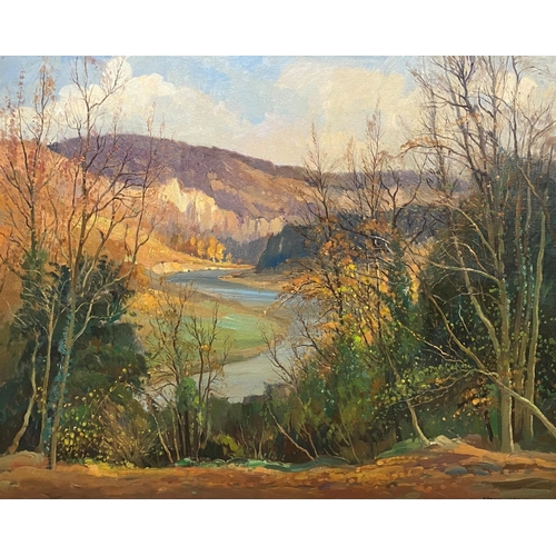 504 - Donald Henry Floyd (1892-1965) - 'The Livox, Wye Valley in Autumn' signed, titled verso, oil on canv... 