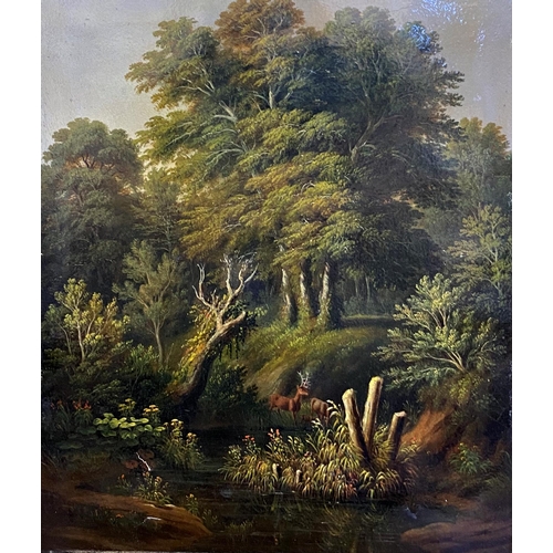 516 - Early 20th century German school - Deer in the forest, unsigned, oil on canvas, 41 x 34cm, framed